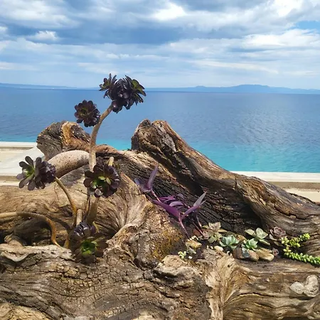 On The Rock *