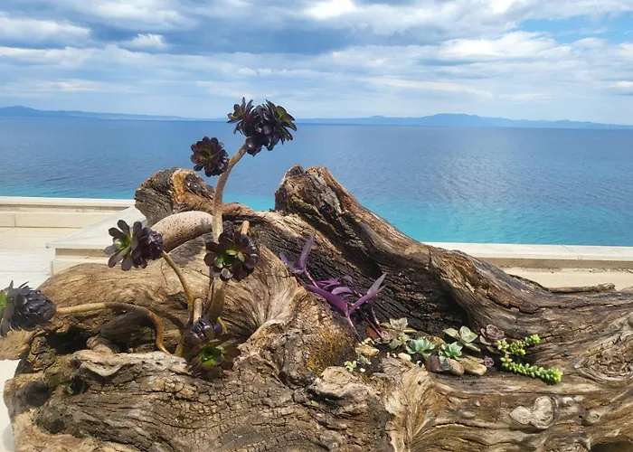 On The Rock *